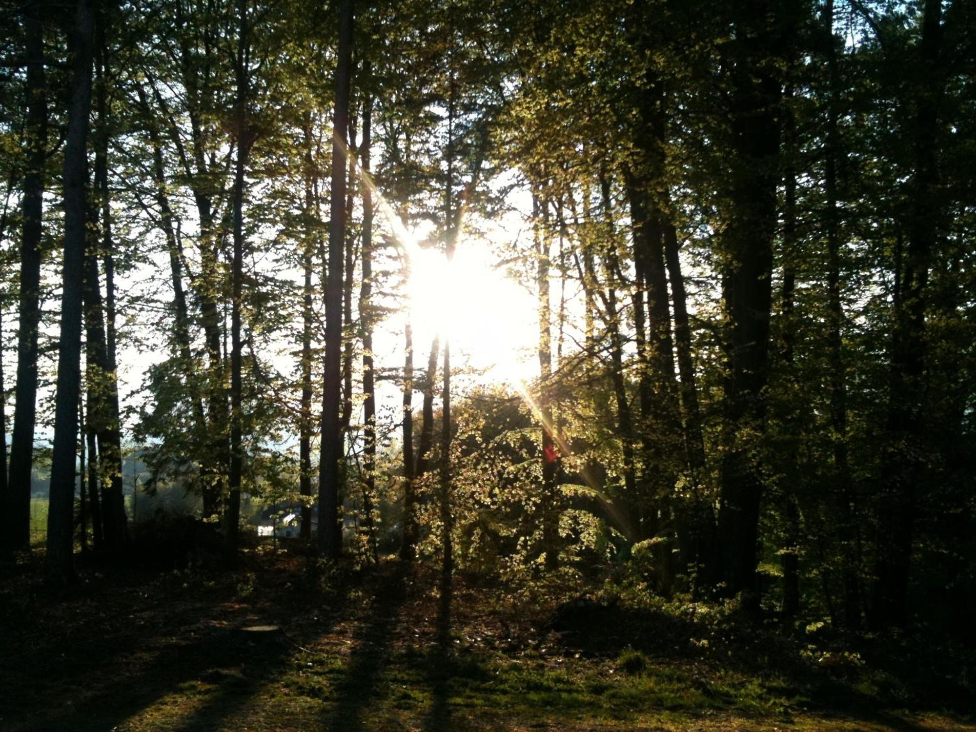 Waldpension Schiefling Am See Exterior photo