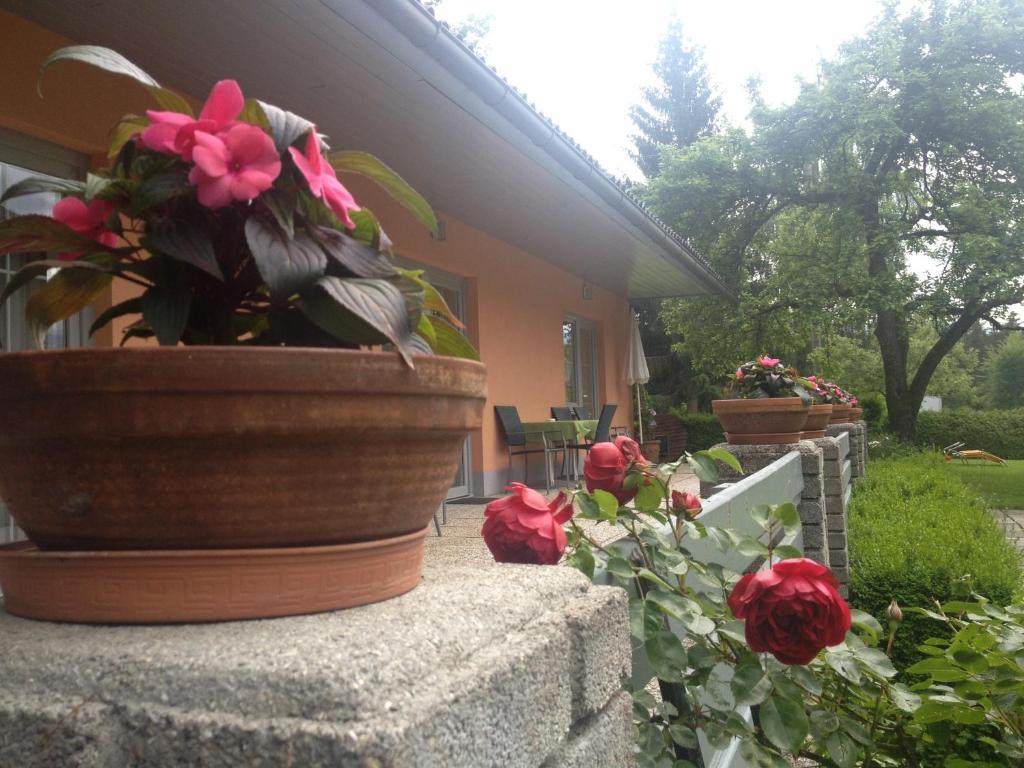 Waldpension Schiefling Am See Exterior photo